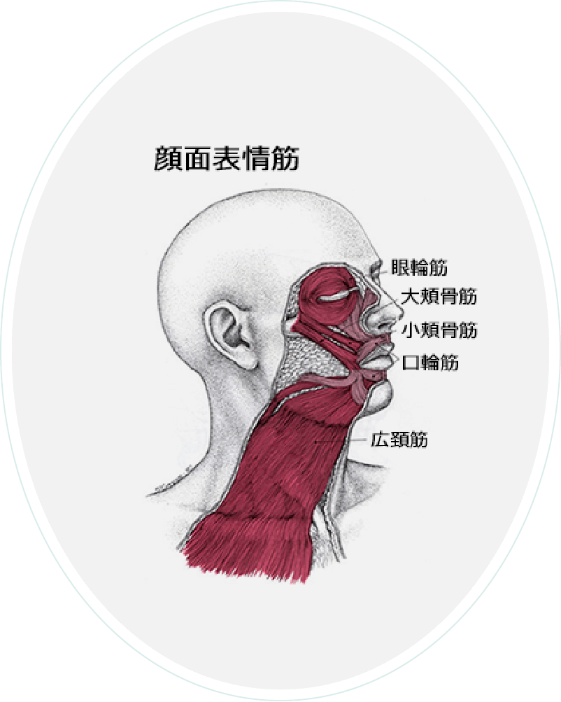 ボアールリフティング